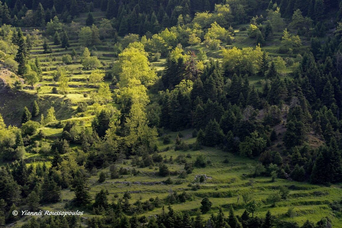 18/8/2020- Εγκαίνια και έκθεση φωτογραφίας με θέμα: “Η πέτρα στο βίο, στην τεχνική και την τέχνη “. του Γιάννη Ρουσόπουλου