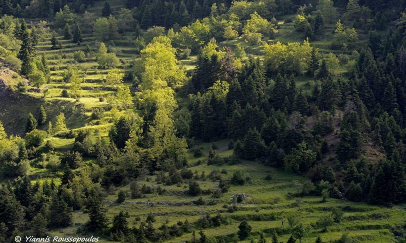 18/8/2020- Εγκαίνια και έκθεση φωτογραφίας με θέμα: “Η πέτρα στο βίο, στην τεχνική και την τέχνη “. του Γιάννη Ρουσόπουλου