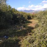 6/12/2020-2η διάνοιξη μονοπατιού με τίτλο το μονοπάτι του νερού και της πέτρας