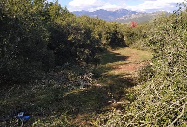 6/12/2020-2η διάνοιξη μονοπατιού με τίτλο το μονοπάτι του νερού και της πέτρας