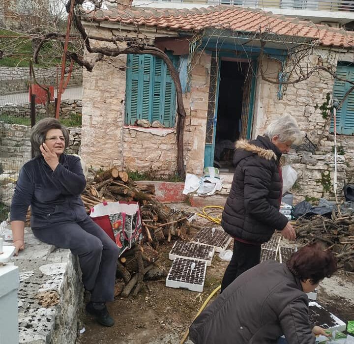 19/2/2020-Ετοιμάζοντας τα σπορόφυτα